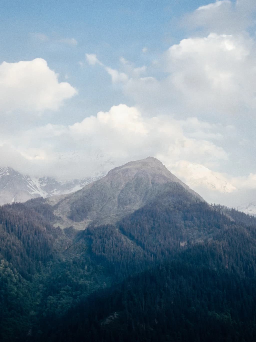 Coniferous forests embrace a snow-capped peak beneath gathering clouds.