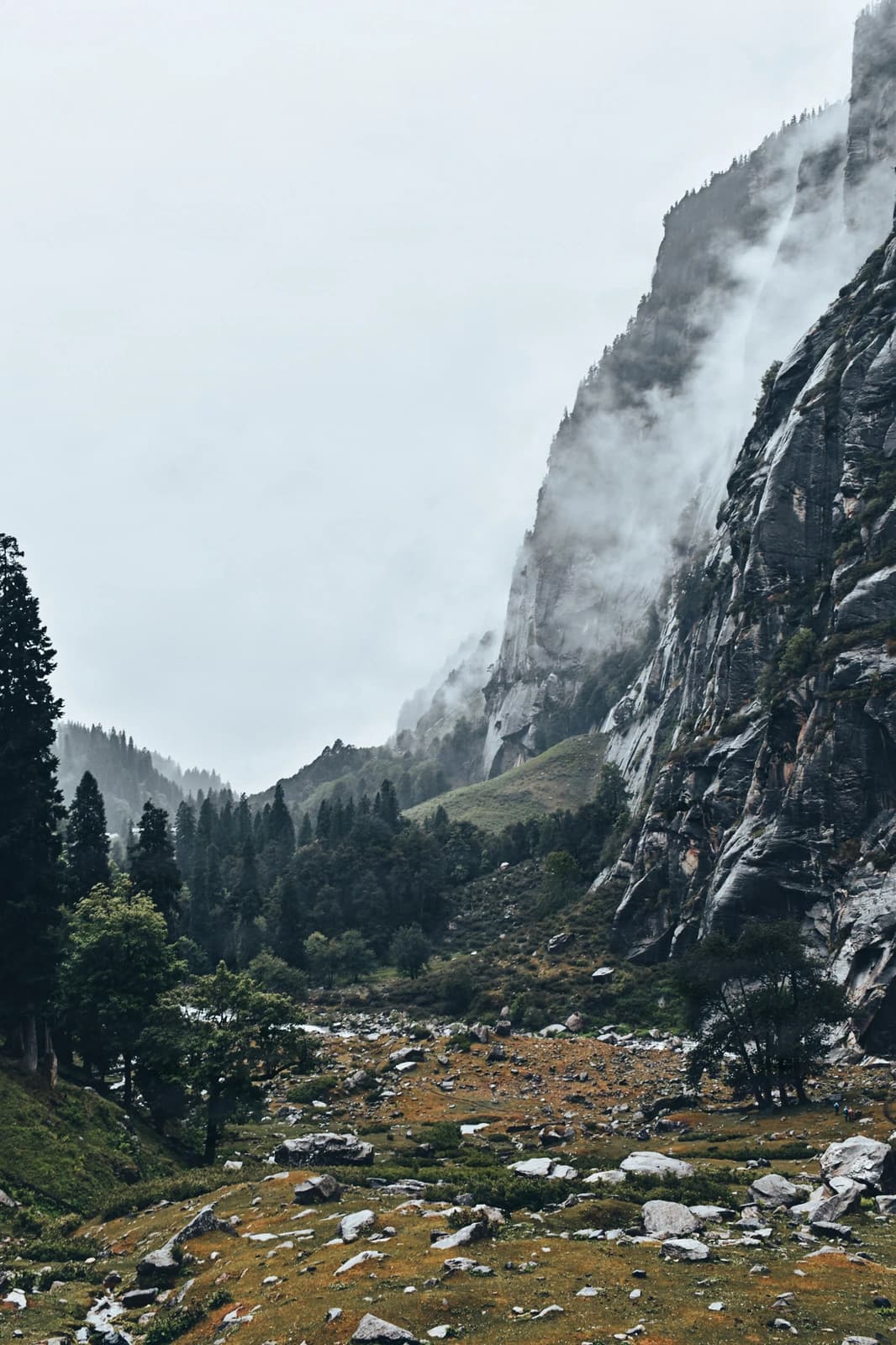 Mist cascades down sheer cliffs while ancient forests cradle a mountain stream below.