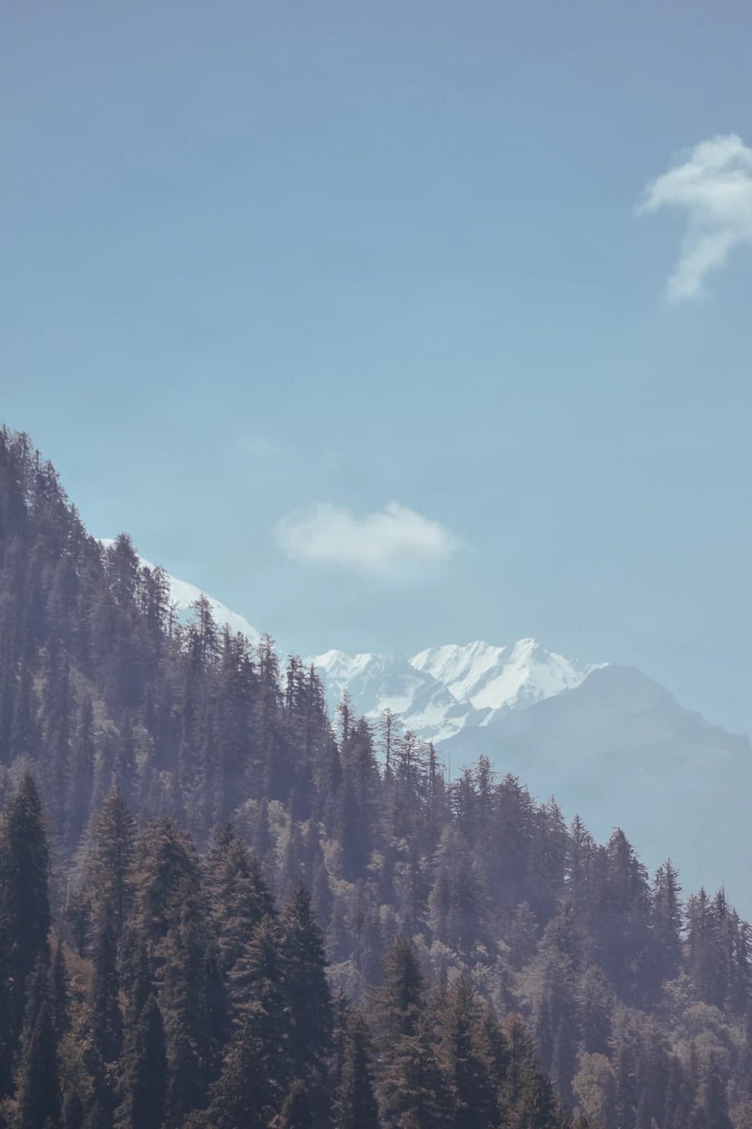 Snow-capped peaks emerge from coniferous forests beneath crystalline alpine sky.