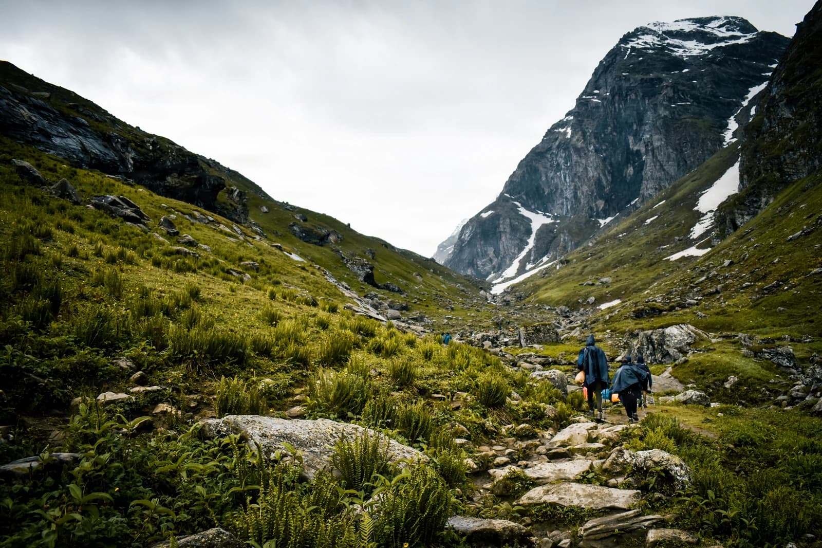 Trekkers navigate a verdant alpine valley toward a dramatic cliff-face peak.