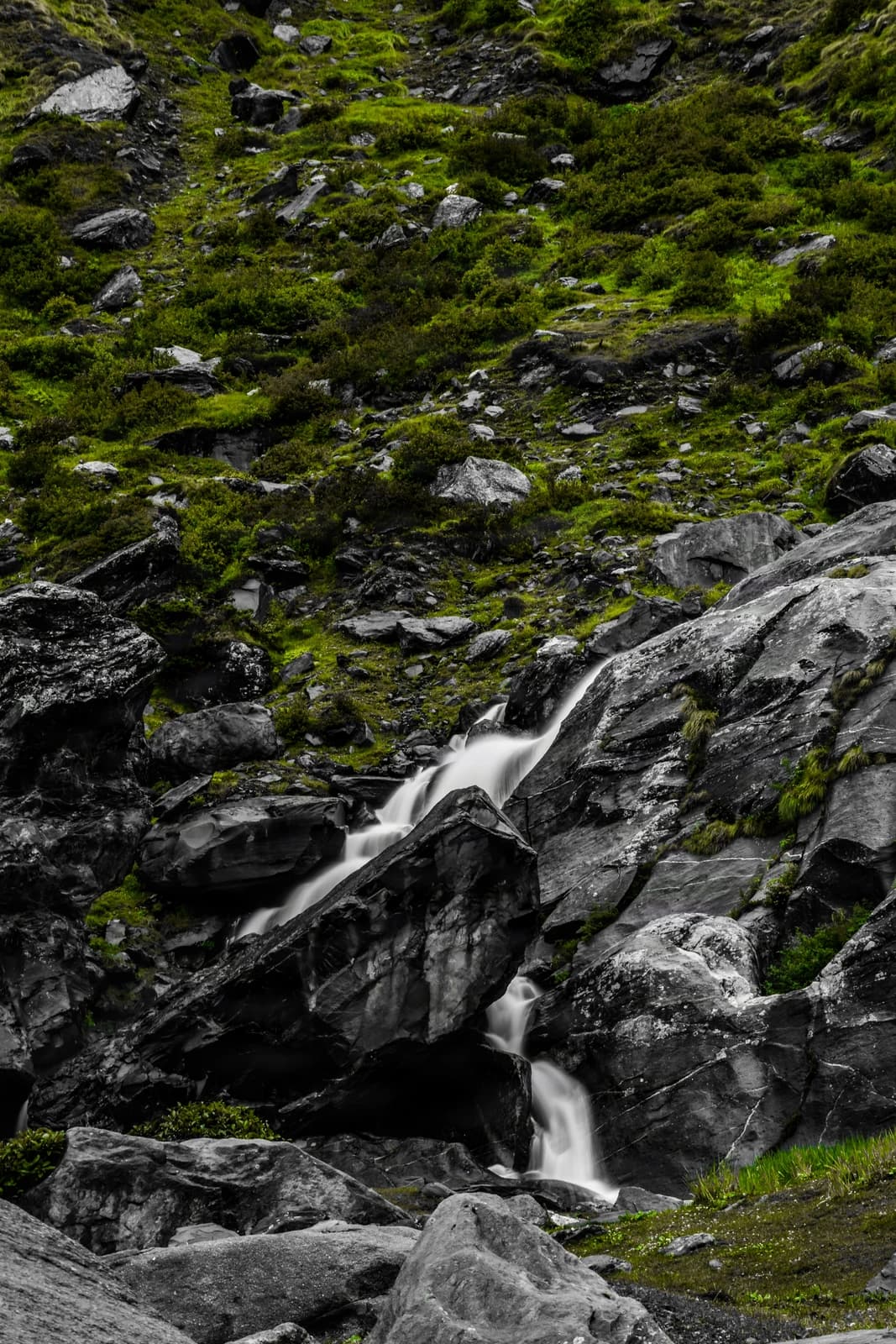 Mountain stream cascades through moss-draped boulders in pristine alpine solitude.